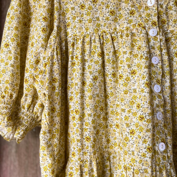 Vintage Oakmeadow Clothing - Holly Dress in Honey